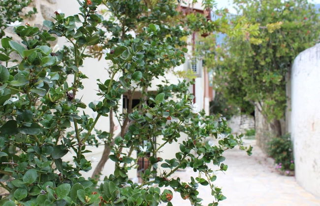 Roes apartments - Foto 37