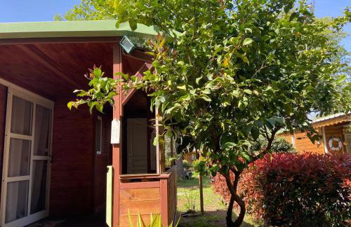 Beach house à Marina di Sorbo …Corse - Foto 29