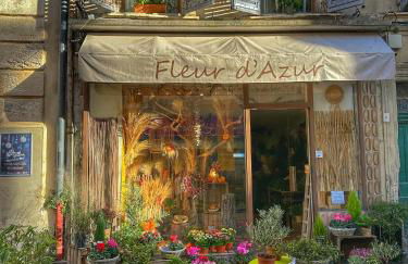 Le Petit Delphia - Photo 44