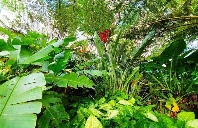 2BR Food Drink Hub Pool 2 Cars Gym Rooftop - Foto 1