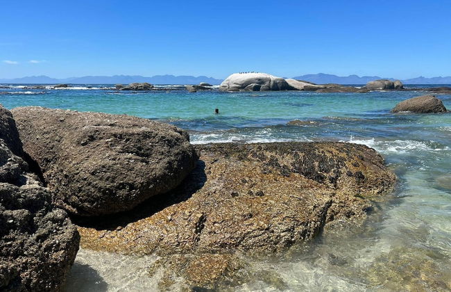 Seascape, Simon's Town - Foto 36