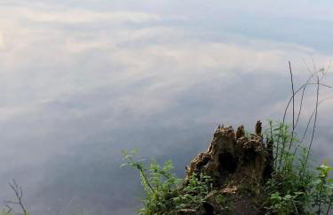 Ferienwohung Auszeit am Eifelsteig - Foto 21