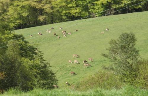 Dairy Cottage Dulverton - Foto 37