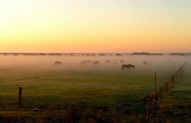 Christel Modern Retreat - Foto 18