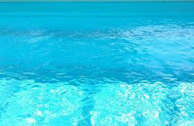 La Ripaudière - Foto 19