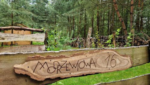 Przystań Zakapiora - Foto 2