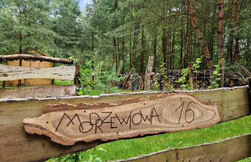 Przystań Zakapiora - Foto 2