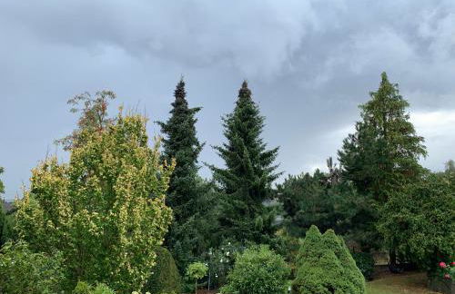 Grüne Oase - Photo 7