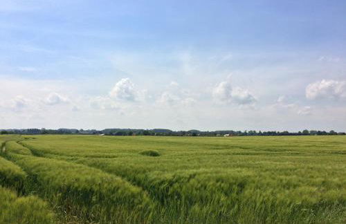 Ankerplatz Langballig - Foto 21