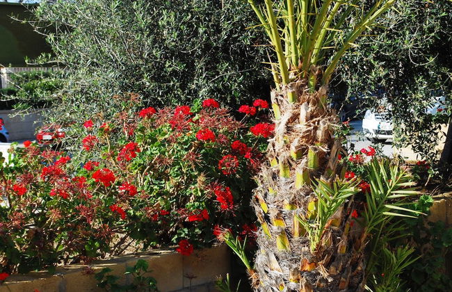 Georgia Apartments - Foto 30