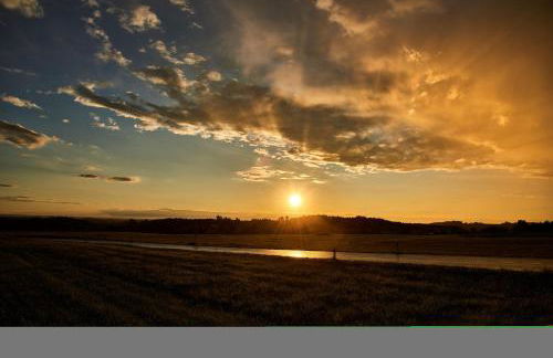 Landhaus Koch - Foto 7