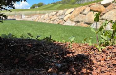 Arnica Alpin Lodge 1 - Foto 8