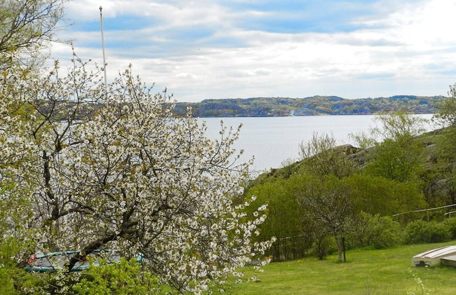 4 Star Holiday Home in Lysekil - Foto 30