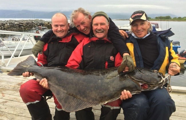 Arctic Seasport - Foto 58