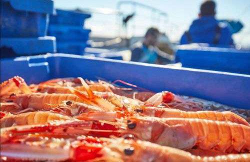 GLOBAL IMMO 5055 RUBENS 9 - Foto 26