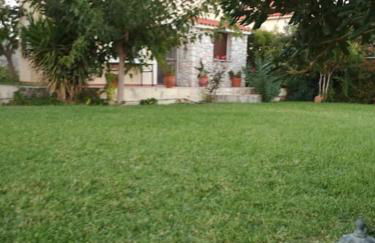 Κτήμα Κουρλή - Photo 21