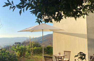 Afroditi Guest house Ano Volos - Foto 1