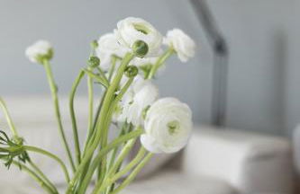 Stunning seaview villa. Villefranche Sur Mer - Foto 33