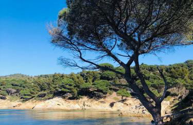 STUDIO POOL HOUSE 2 ETOILES VUE MER PANORAMIQUE AMAZING SEA VIEW WIFI LINGE LINEN INCLUS AIRCONDITIOn - Foto 38