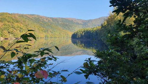 Ferienhaus Sterneneifel - Foto 4