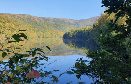 Ferienhaus Sterneneifel - Foto 4
