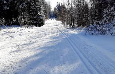 Ferienwohnung Fürst - Foto 26
