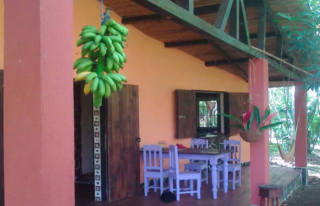 Vanilla Jungle Lodge - Bed & Breakfast - Foto 16