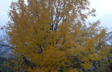 Casas Rurales Cortijos el Encinar - Foto 49