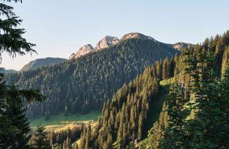 Bachmair Weissach See-Apartments - Foto 48