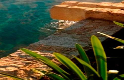 Quinta do Troviscal - Foto 70