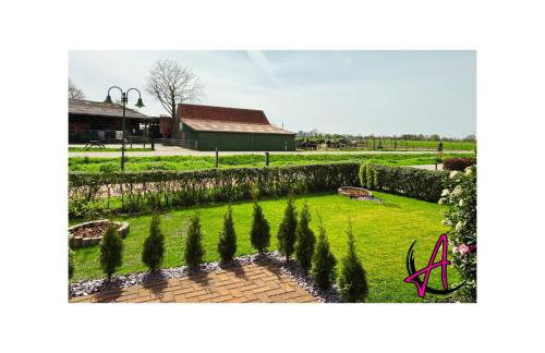 Das Atelier - Foto 9