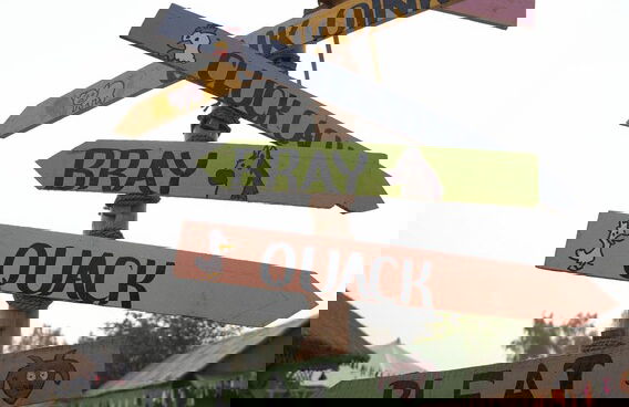 Tuk Tuk Gilhari Noida - Foto 67