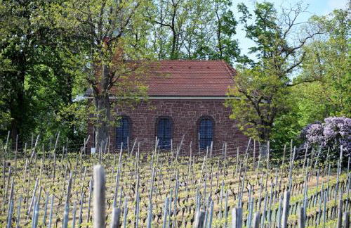 Ferienwohnung auf dem Dorf, Külsheim - Foto 57