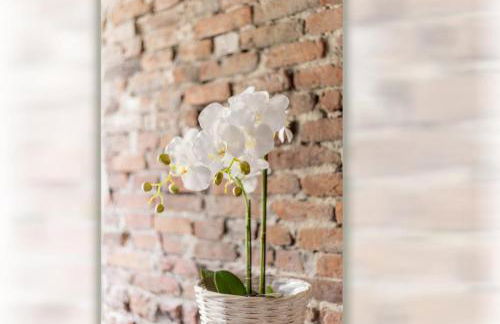 Anno 1895 - Ferienhaus für bis zu 4 Personen, Haustiere willkommen - Foto 45