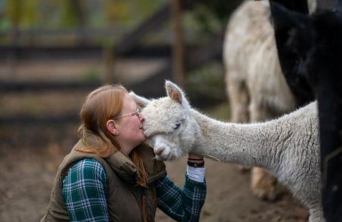 Alpaka - & Ferienhof Neukämper - Foto 35