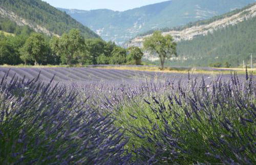 Le gîte de Valérie côté jardin - Foto 7