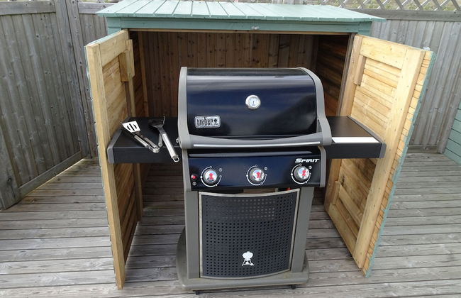 Icelandic Cottages - Foto 48