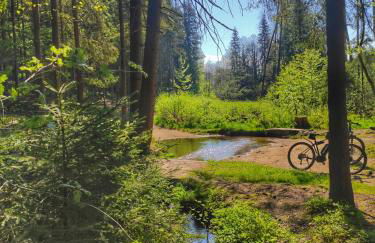 Emyda' s Tropical Home at Goldsteig trail - Foto 8