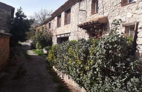 Cal Tous, La Socarrimada - Foto 10