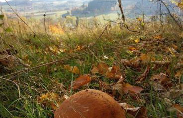 Przystanek Leszczyniec w Sudetach z jacuzzi - za dopłatą - Foto 35