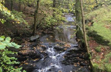 Weardale Cottage - Photo 41