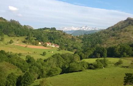 El Portiellu - Foto 66