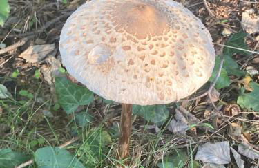 Casa Rural Aventura I - Photo 37