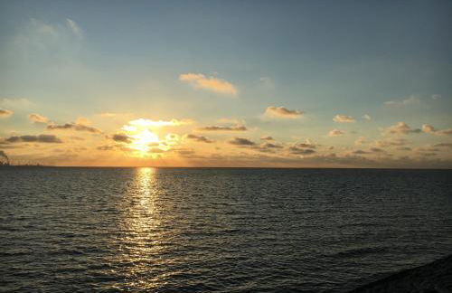 Nordseebrise KrummhörnLoquard - Photo 19