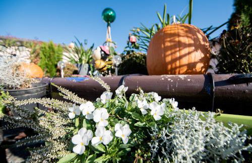 L-Appartements - Foto 41