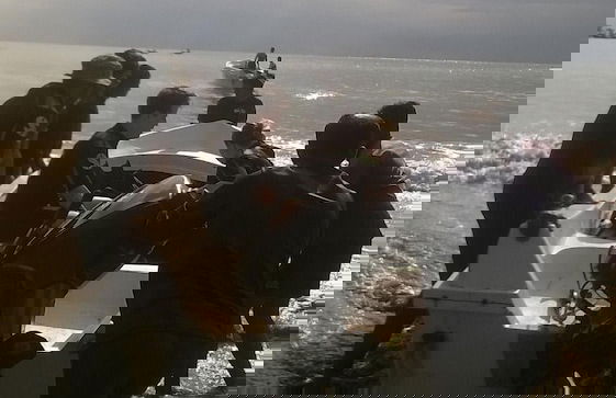 Redhill Yala - Photo 10