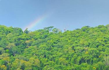 Rancho do andi - Foto 54