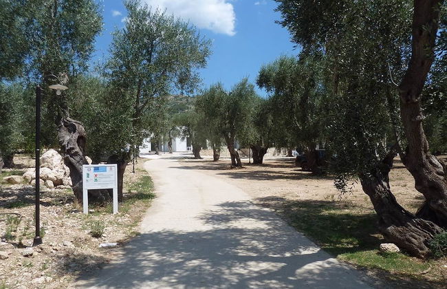 Tenuta Santa Maria - Foto 74