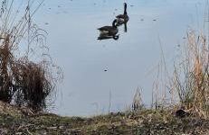 Ferienwohnung Jasmin - Foto 23