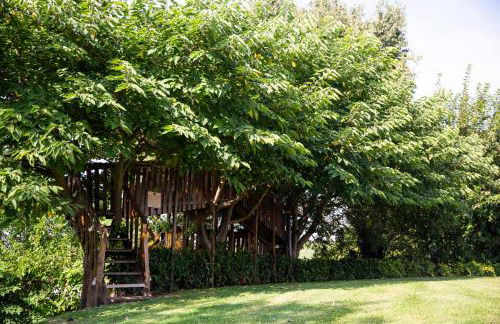 Agriturismo Ca' Vecia - Foto 45